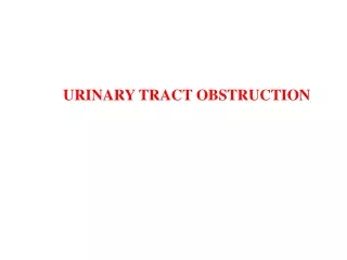 URINARY TRACT OBSTRUCTION