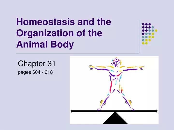 homeostasis and the organization of the animal body