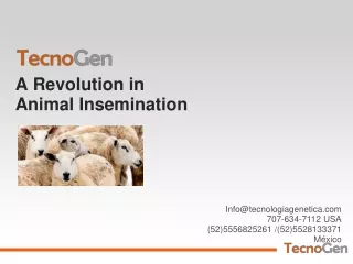 A Revolution in  Animal Insemination