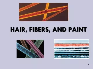 HAIR, FIBERS, AND PAINT