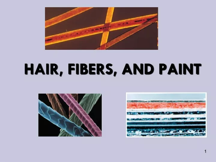 hair fibers and paint