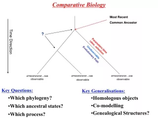 Comparative Biology