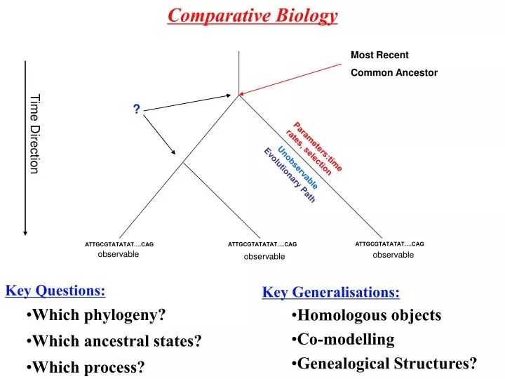 comparative biology