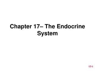 Chapter 17– The Endocrine System