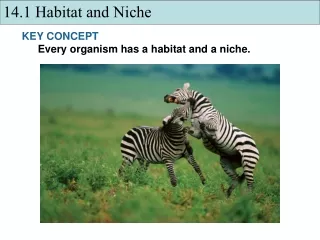 KEY CONCEPT  Every organism has a habitat and a niche.