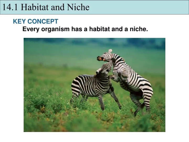 14 1 habitat and niche