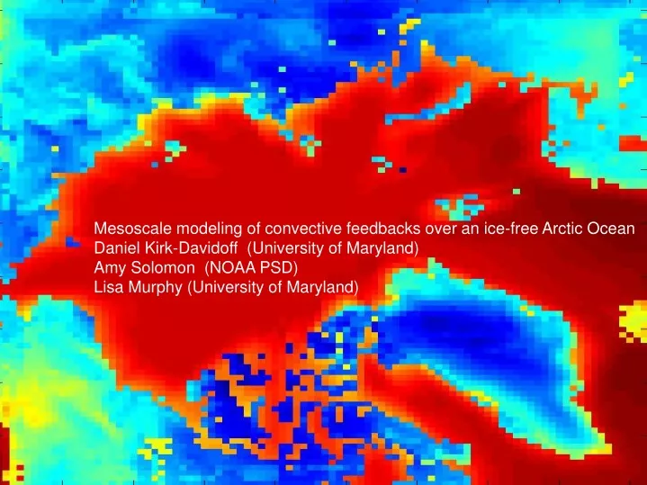 mesoscale modeling of convective feedbacks over