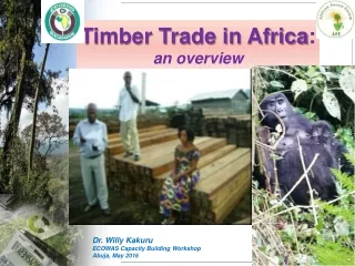 Timber Trade in Africa :  an overview