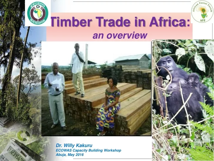 timber trade in africa an overview