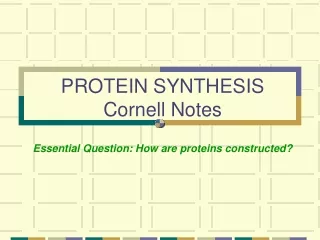 PROTEIN SYNTHESIS Cornell Notes