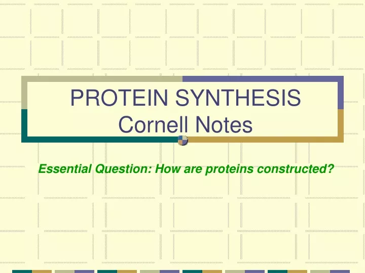 protein synthesis cornell notes