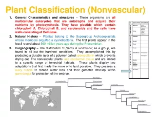 Plant Classification (Nonvascular)