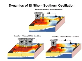 Dynamics of El Ni ño  – Southern Oscillation