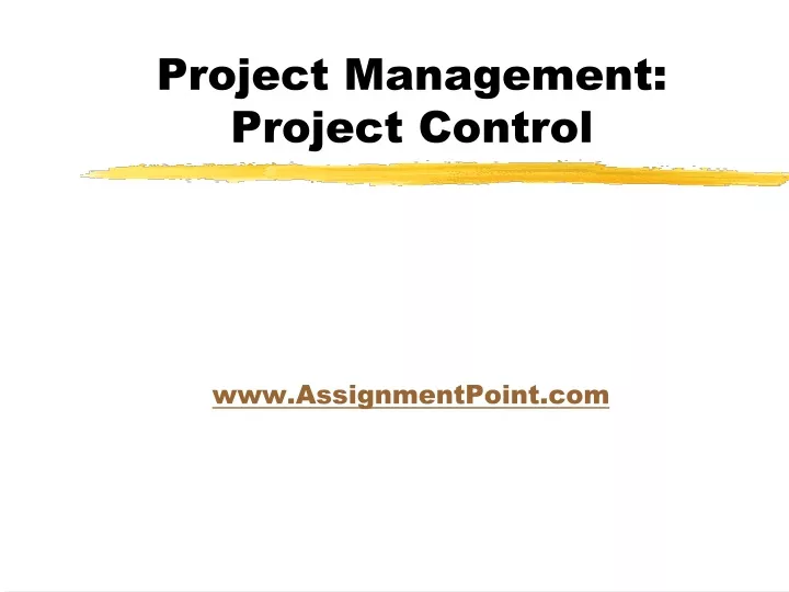 project management project control