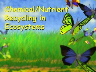 Chemical/Nutrient Recycling in Ecosystems