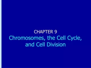 CHAPTER 9 Chromosomes, the Cell Cycle, and Cell Division