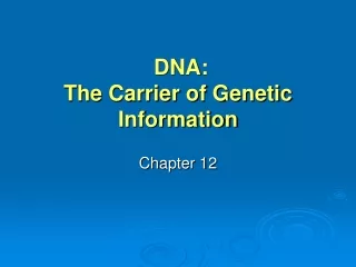 DNA:  The Carrier of Genetic Information