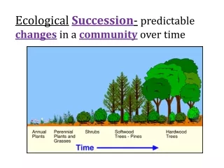 Ecological Succession - predictable  changes  in a  community  over time