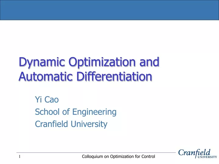 dynamic optimization and automatic differentiation