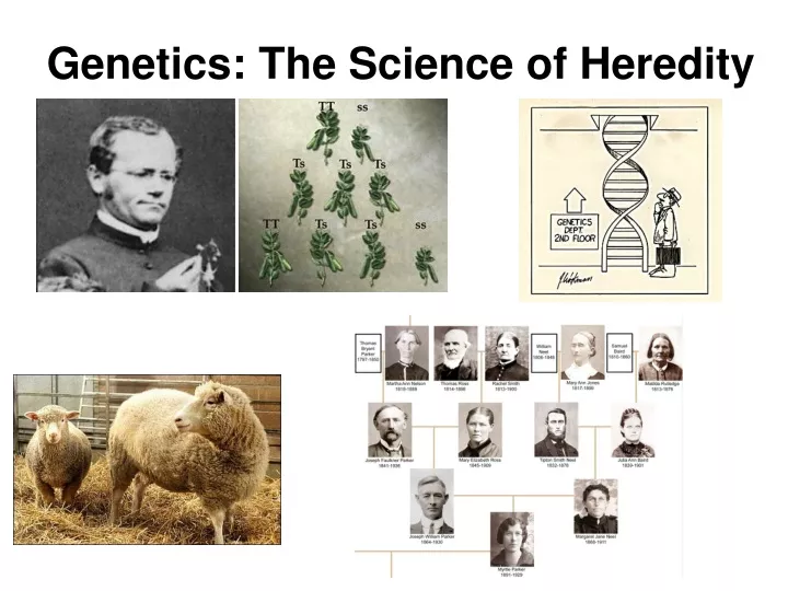 genetics the science of heredity