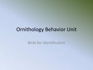 Ornithology Behavior Unit
