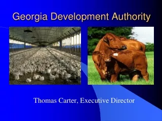 Georgia Development Authority