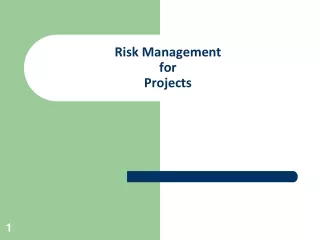 Risk Management  for Projects