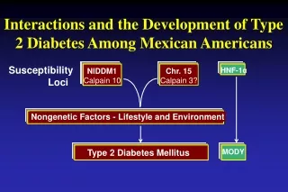 Interactions and the Development of Type 2 Diabetes Among Mexican Americans