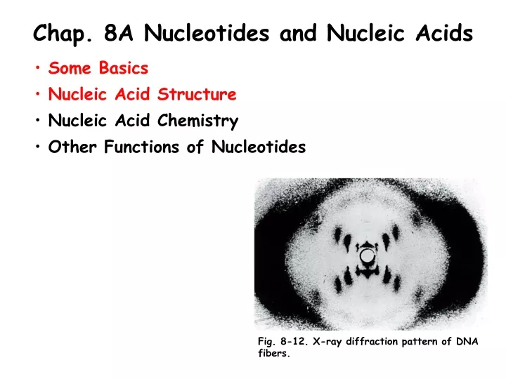 chap 8a nucleotides and nucleic acids