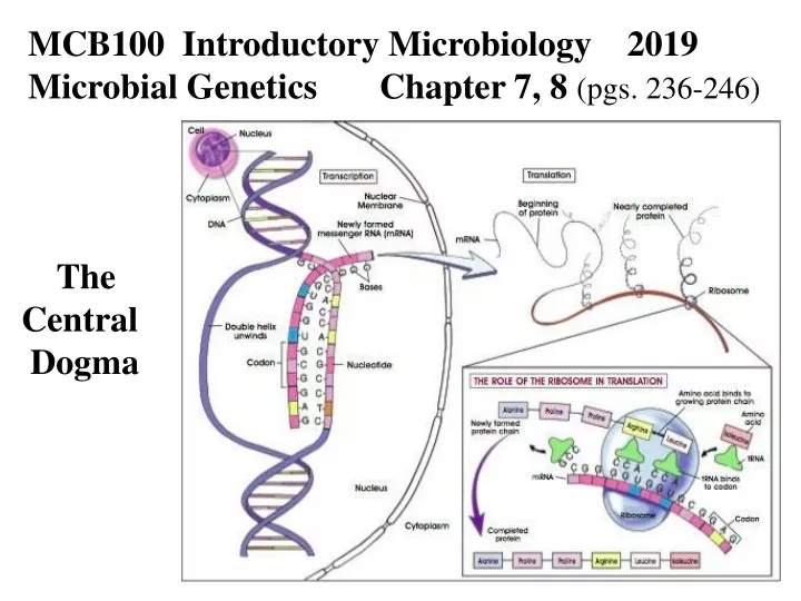 mcb100 introductory microbiology 2019 microbial