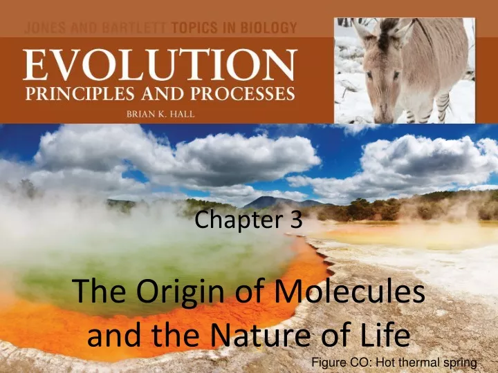 chapter 3 the origin of molecules and the nature of life