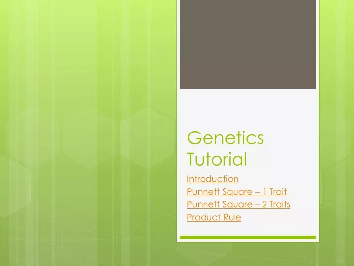 genetics tutorial