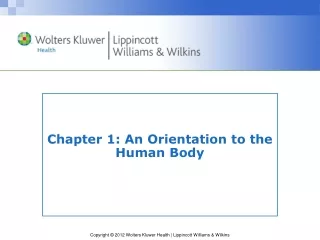 Chapter 1: An Orientation to the Human Body