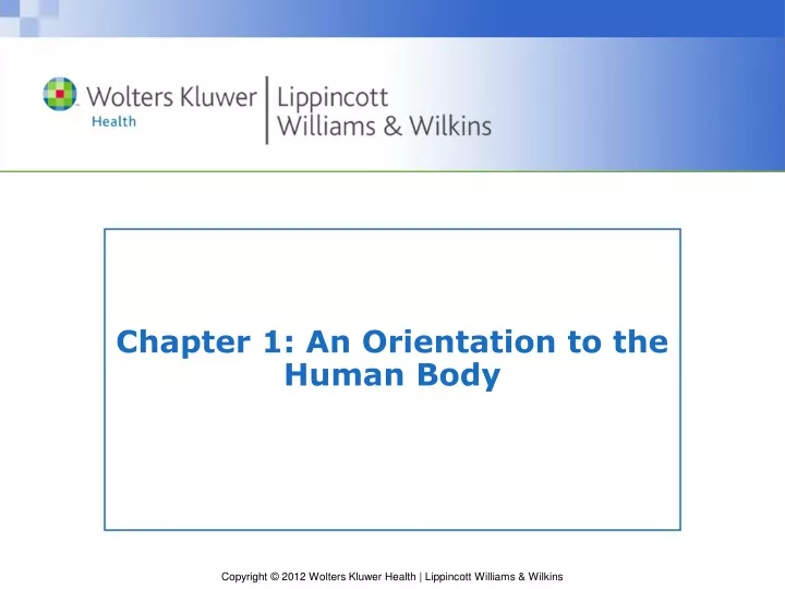 chapter 1 an orientation to the human body
