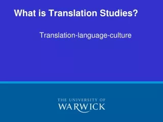 What is Translation Studies?