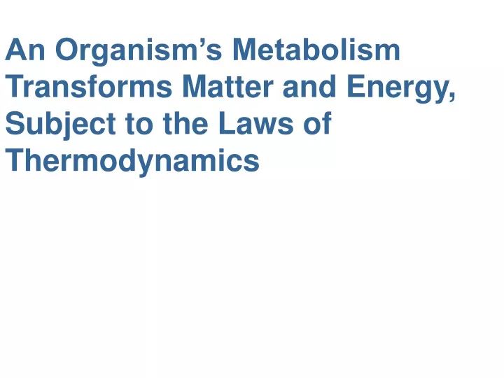 an organism s metabolism transforms matter
