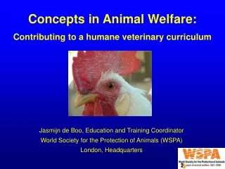 Concepts in Animal Welfare:  Contributing to a humane veterinary curriculum