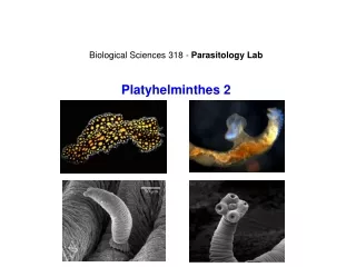 Biological Sciences 318 -  Parasitology Lab Platyhelminthes 2