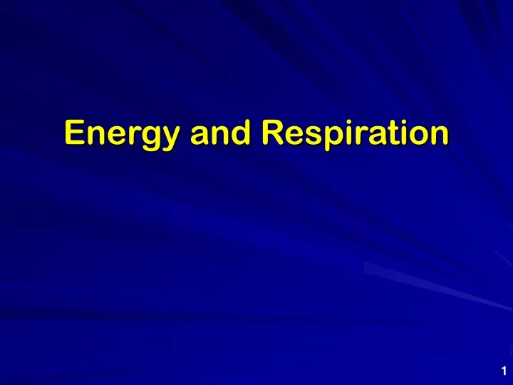 energy and respiration