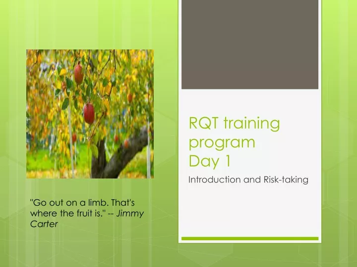 rqt training program day 1