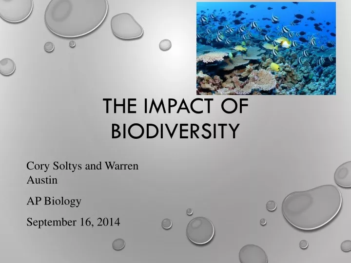 the impact of biodiversity