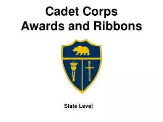 Cadet Corps Awards and Ribbons