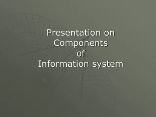 Presentation on Components of Information system