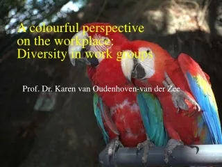 A colourful perspective  on the workplace: Diversity in work groups