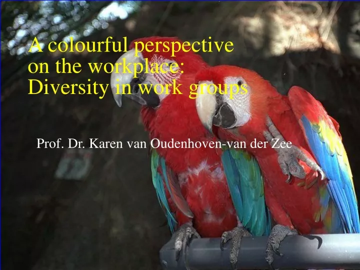a colourful perspective on the workplace diversity in work groups