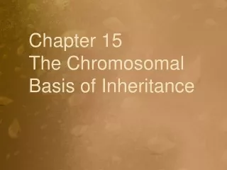 Chapter 15         The Chromosomal Basis of Inheritance