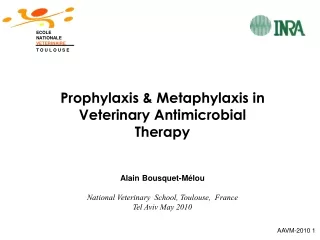 Prophylaxis &amp; Metaphylaxis in Veterinary Antimicrobial Therapy