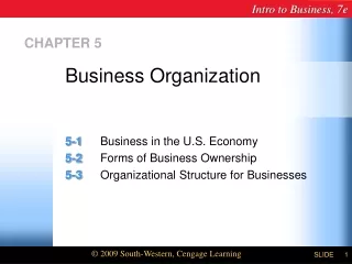 Business Organization