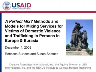 Methods and Models for Mixing Services for Victims of DV and TIP Research Framework