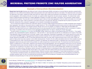 MICROBIAL PROTEINS PROMOTE ZINC SULFIDE AGGREGATION